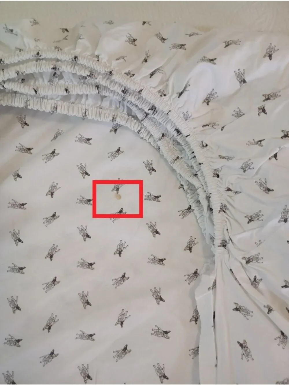Ralph Lauren Home 100% Cotton Twin Sheet Set Dog Print White